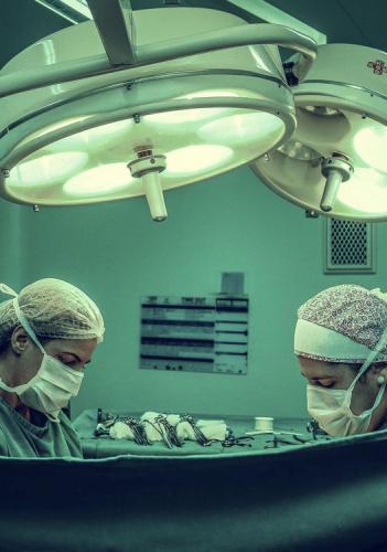 Nunc blandit a felis nec eleifend. Nulla ac vestibulum eros