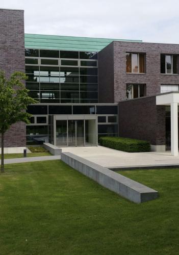 Massa sapien ornare nisl, suscipit suscipit ante